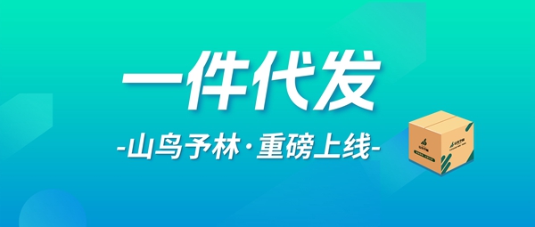 新品速递丨一件代发高效履约，助力跨境卖家出海无忧