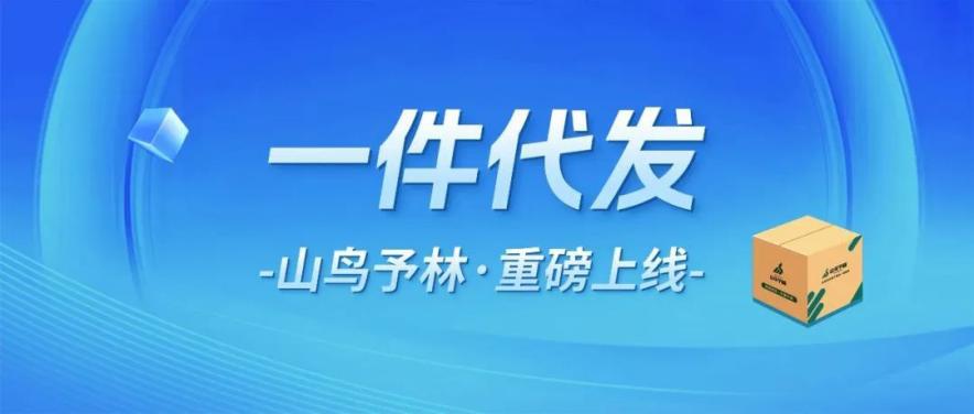 图片9